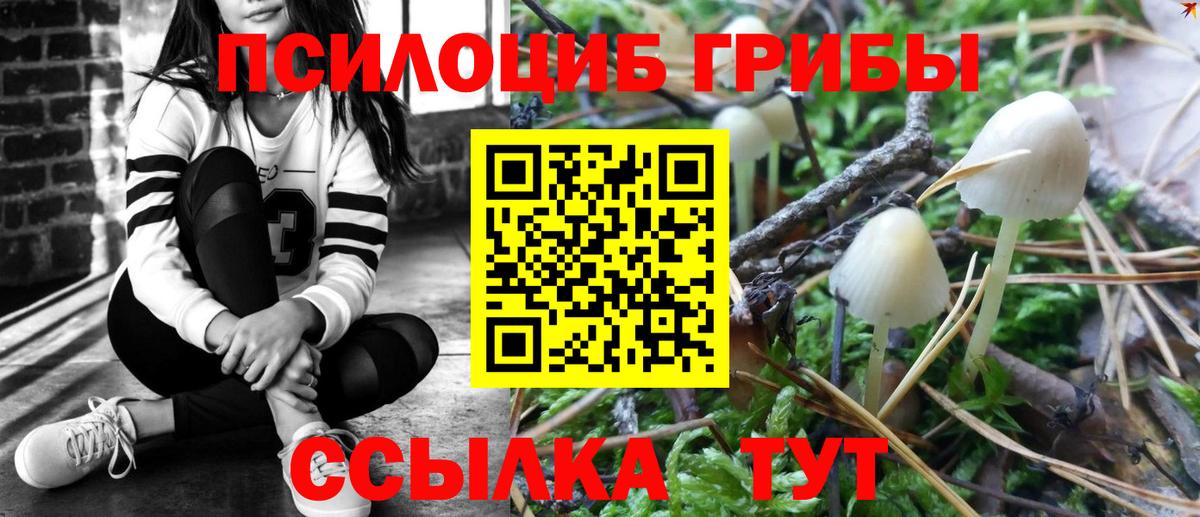 Дальнегорск  Галлюциногенные грибы Cubensis  Вход с VPN 